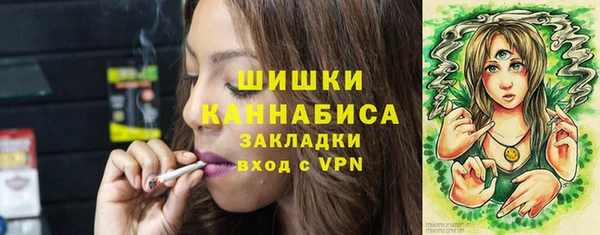 дживик Пестово