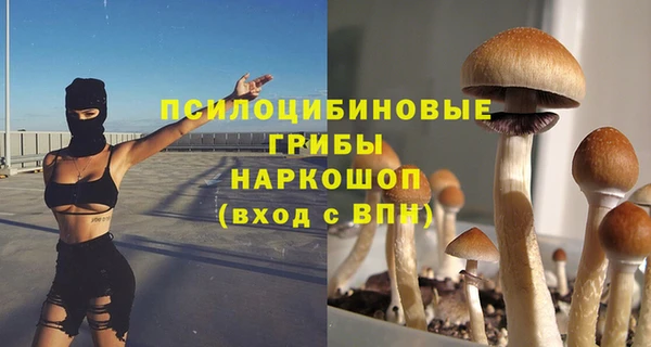 дмт Абдулино